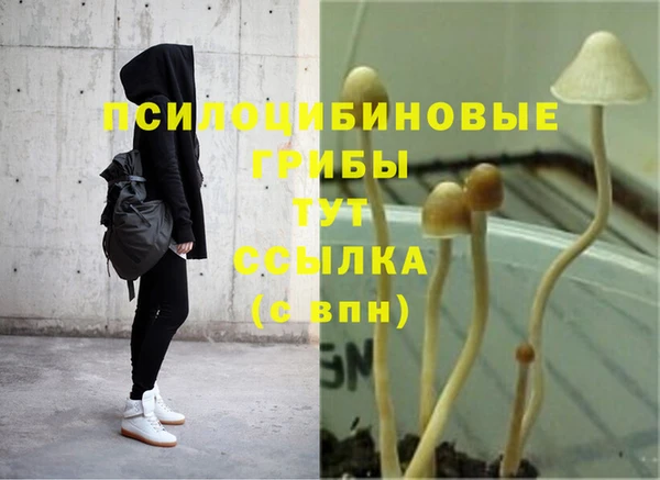 MESCALINE Волосово
